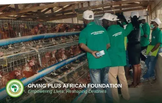 Trainees walking through a working layer house lined with poultry cages