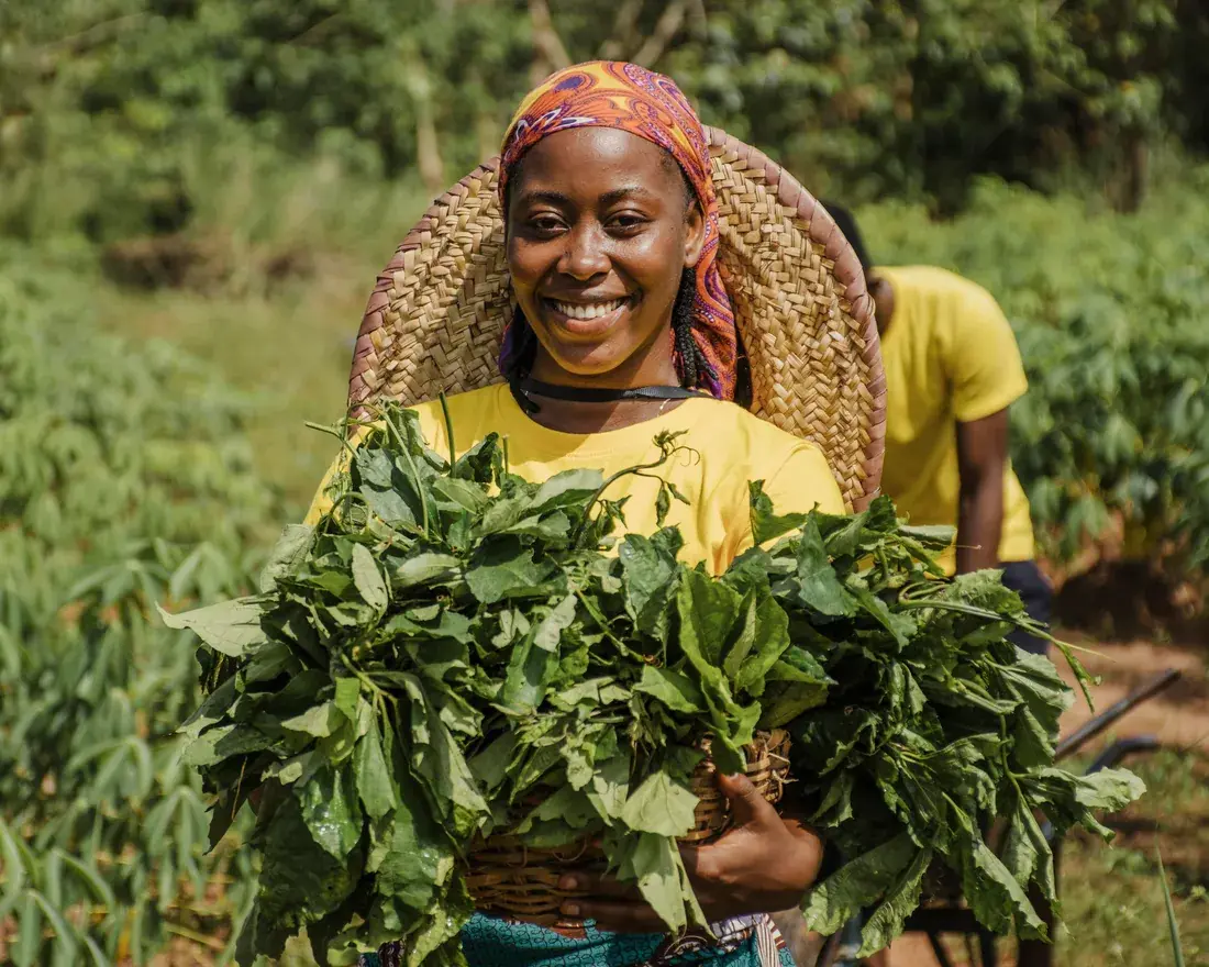 A farmer holding a harvest of leafy greens